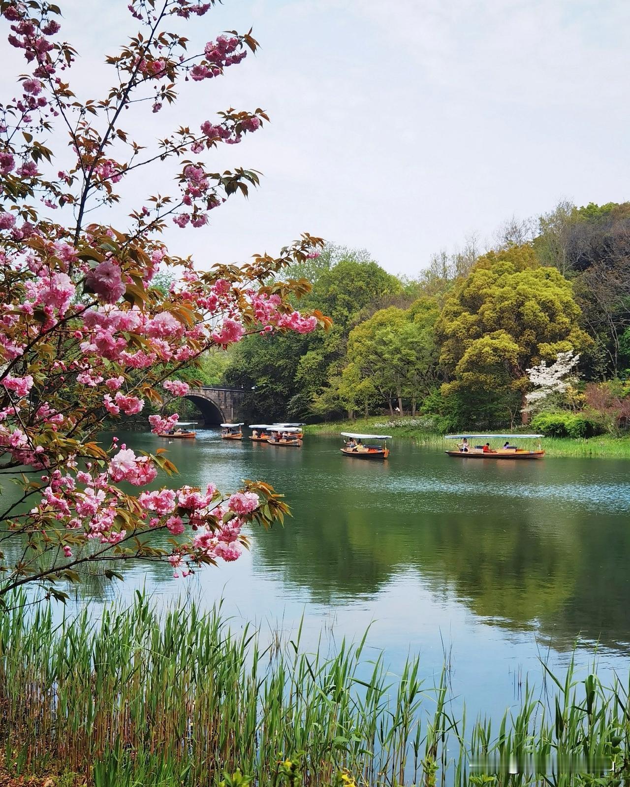 杭州西湖杨公堤边乌龟潭景区，通过拓展水面、设置景观小岛，并以木曲桥与水岸相连‌，
