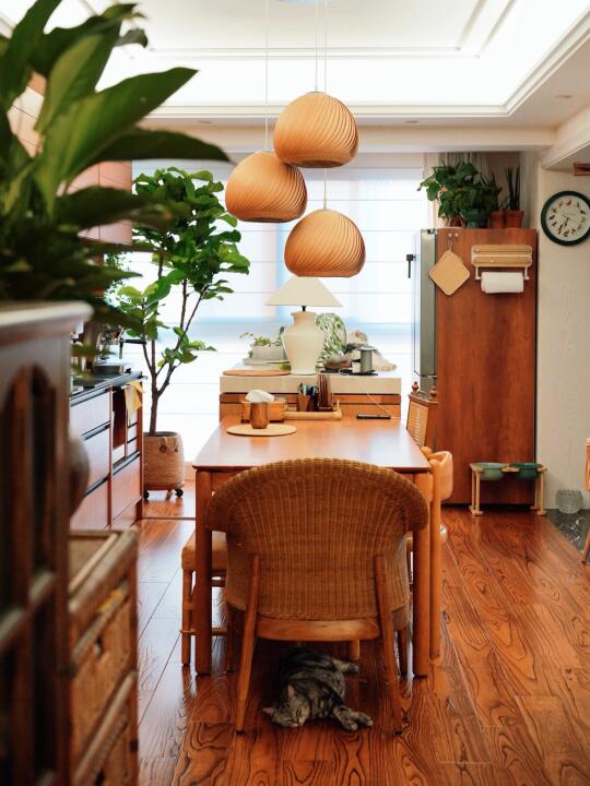 入住两个月 慢慢把房子住成会呼吸的家🏡