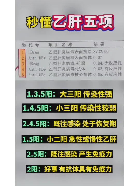 秒懂乙肝五项！
