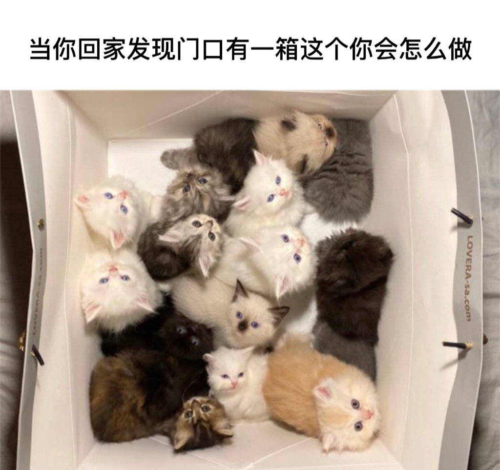 发财了#今日memes# //#龙年造梗大赛# ​​​