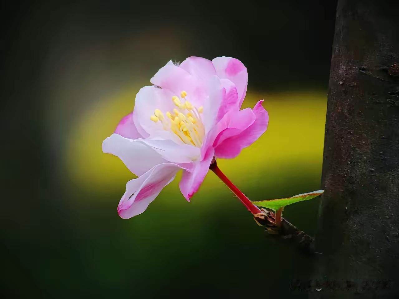大A短期主线基本明晰，此时逢低关注正当其时！
周二上午，三大指数走势出现分化，深