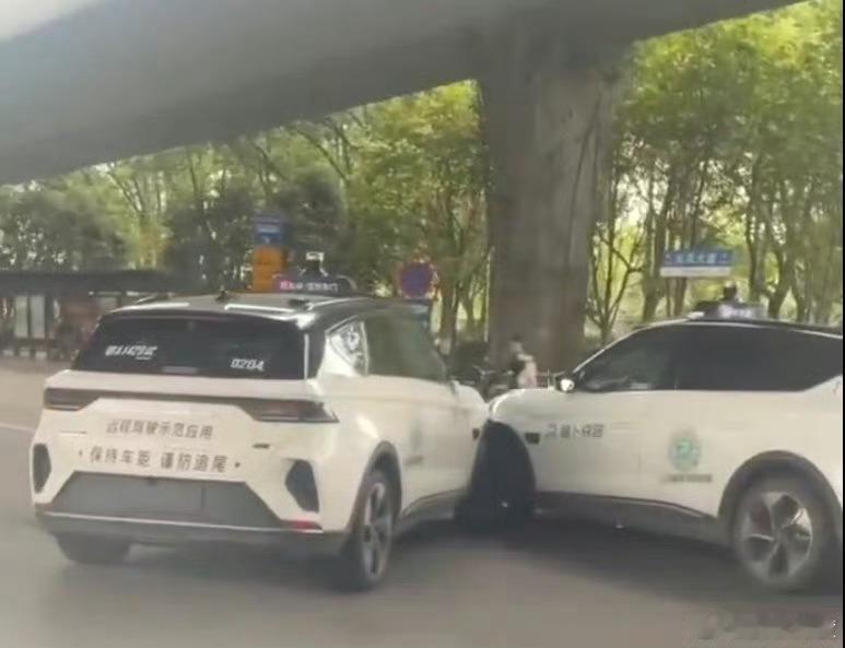 两只笨萝卜路上撞头了，目测左边主责[污] ​​​