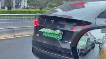 这个特斯拉车主，以后估计再也不会干套牌的事儿了。

昨天上午还看到有朋友发它在路