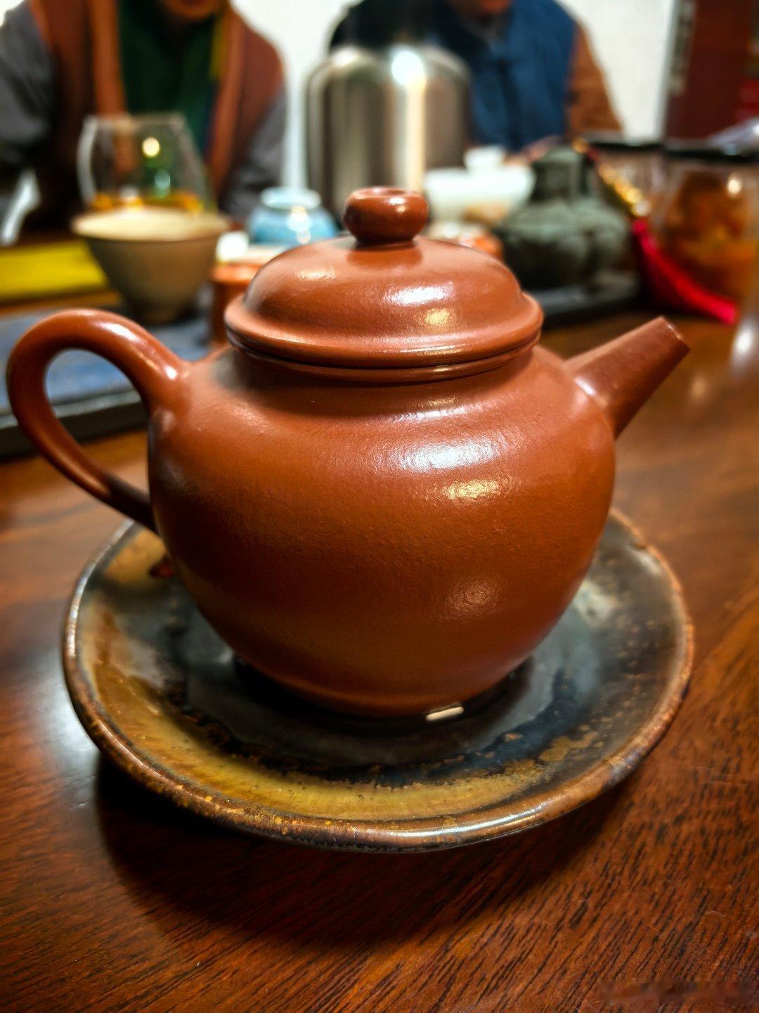 师父的紫砂壶 养的真漂亮 我羡慕的对象