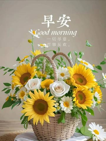 🌤🪻ᴳᵒᵒᵈ ᵐᵒʳⁿⁱⁿᵍ☀️无论生活给予我们什么都希望能向阳而生希望你一