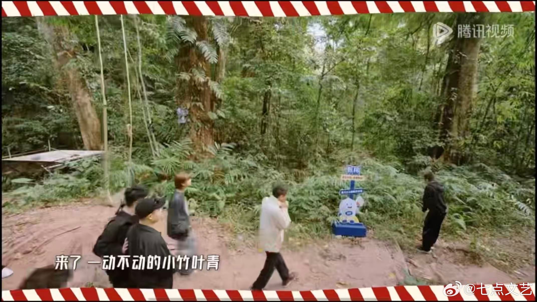 邓超凑齐了一起骗 邓超突发奇想骗同伴草丛有竹叶青，大家信以为真认真搜寻，他却趁机