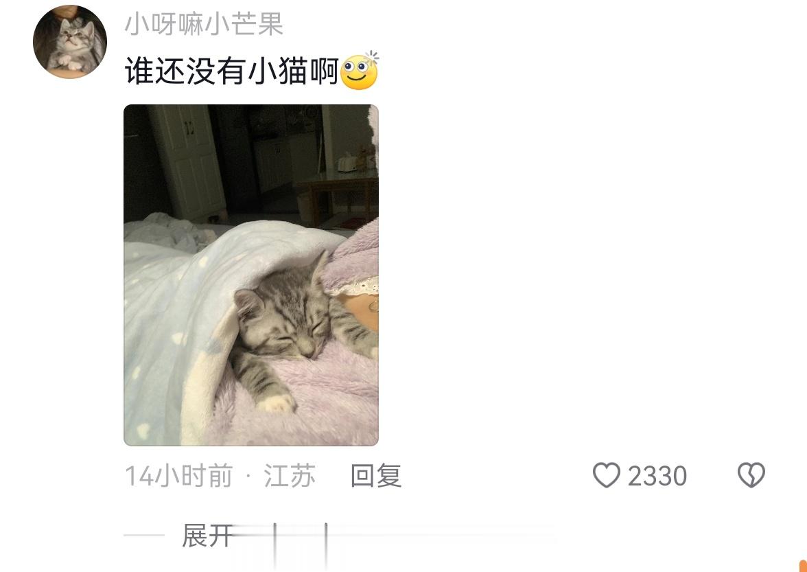 冬天没有地暖的养猫人待遇和养狗人待遇[哇][哇][哇] ​​​
