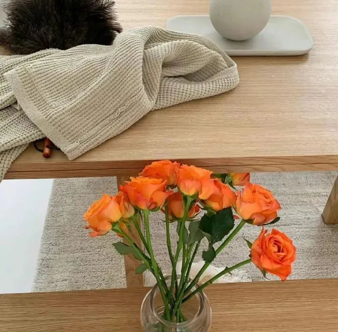 好书一大摞的橱窗 好书一大摞 你一脚踩烂了紫罗兰 可它的香味却留在了你的脚上 这