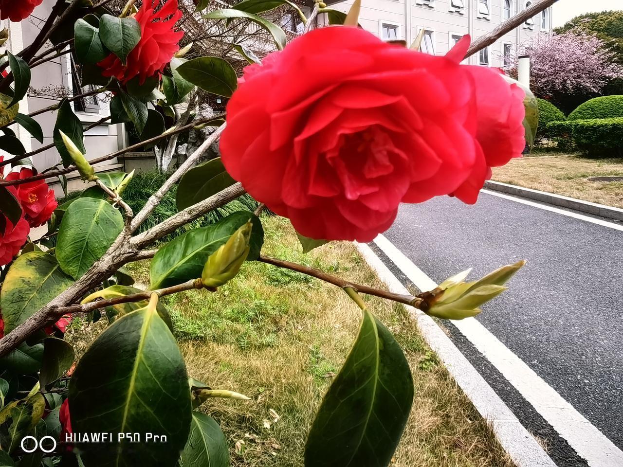 上联：秋乘落叶去，求下联：…？春归万花盛。