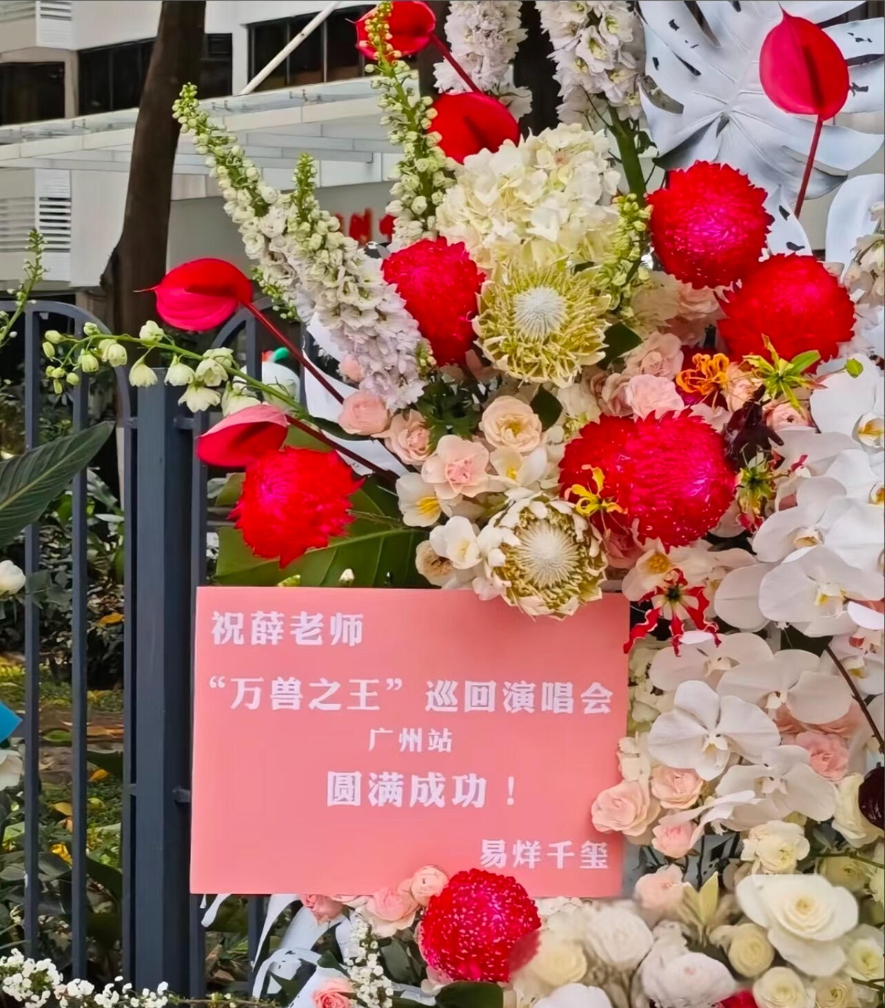 薛之谦疑似TFBOYS最大团粉✨ 