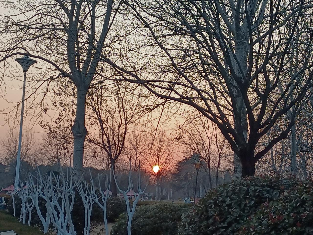 2026.2.2日腊月十五的晚霞与初升的月亮。（图片来源：老山兰随手拍）