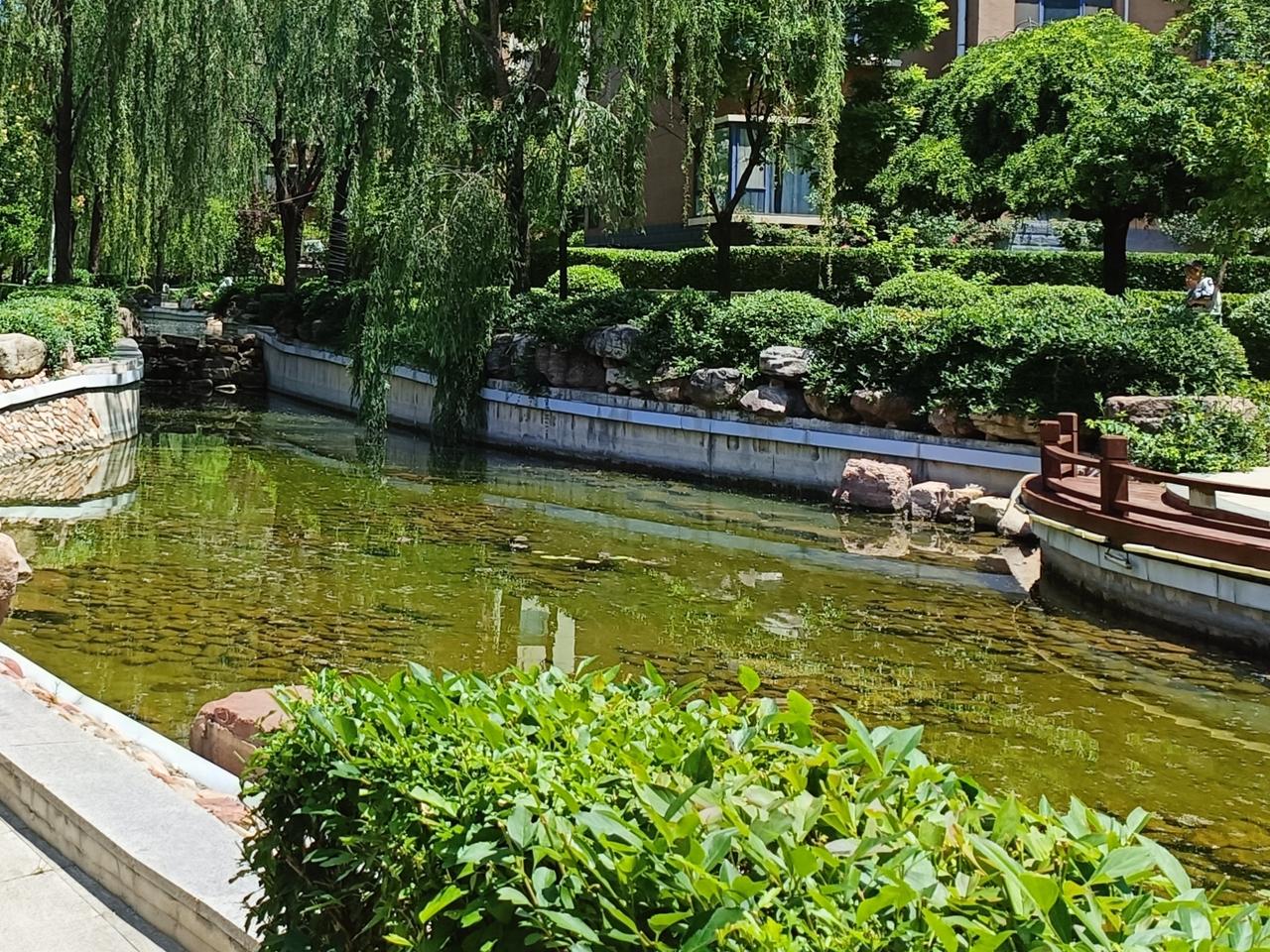 我认为该。
现代家庭倡导男女平等，夫妻双方都要承担职场压力，共同打拼已成常态。家