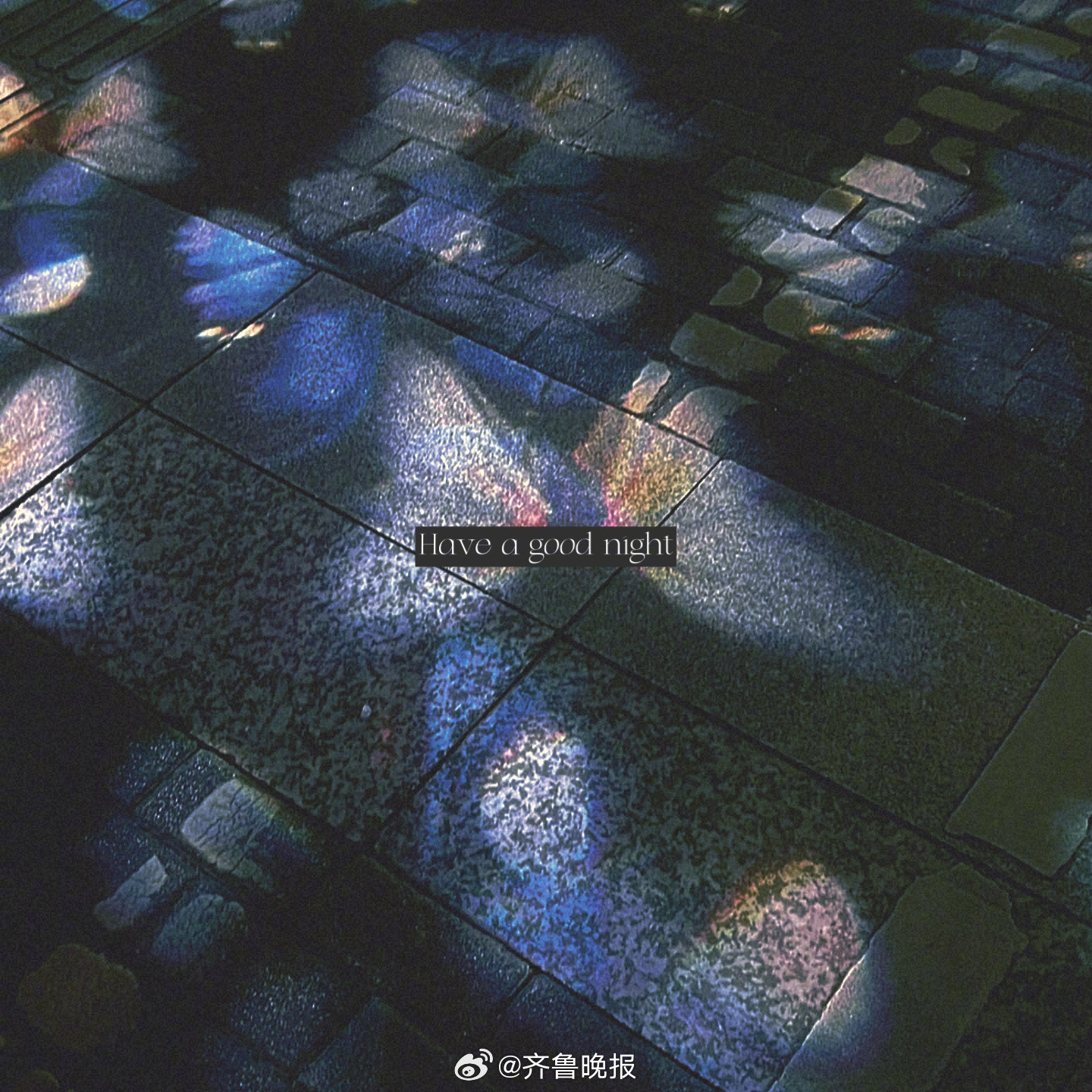 没有人可以回到过去但谁都可以从现在开始[月亮]#晚安# ​​​