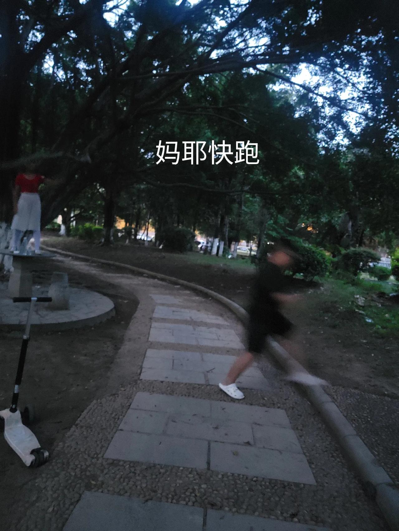 我在小区的小公园看到的，[思考]，我要骂她吗？吊树上，树都要想断了[笑哭]