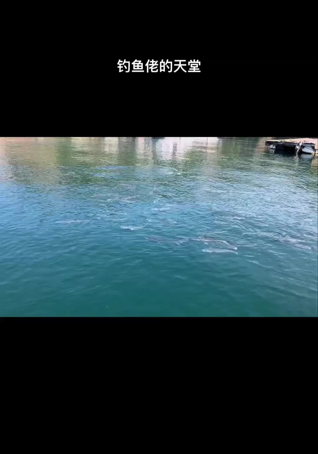 爱生活爱钓鱼
