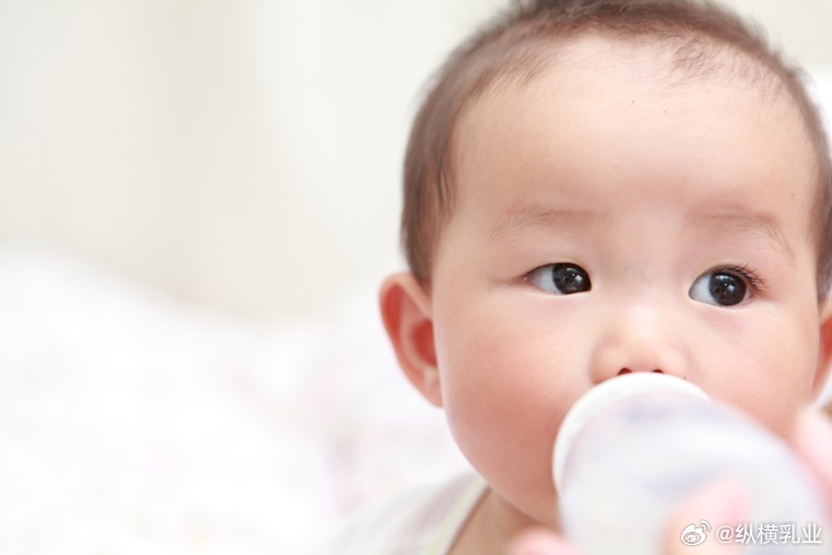 【新加坡跨境电商渠道对华出口婴幼儿配方奶粉新增官方健康证书通关要求】2026年7