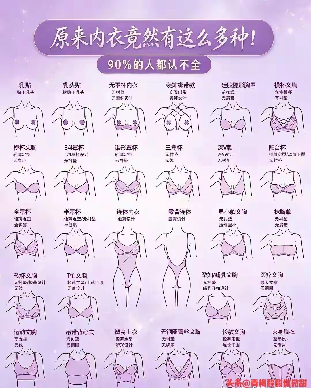 内衣种类 