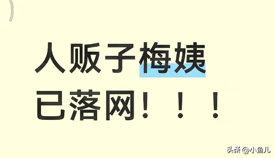 潜逃20多年、让无数家庭破碎的人贩子梅姨，终于落网！

没有照片、没有真实身份，
