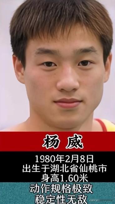 世界体操十大全能王子
每一位都是时代传奇

体操男子全能，
是对运动员综合实力最