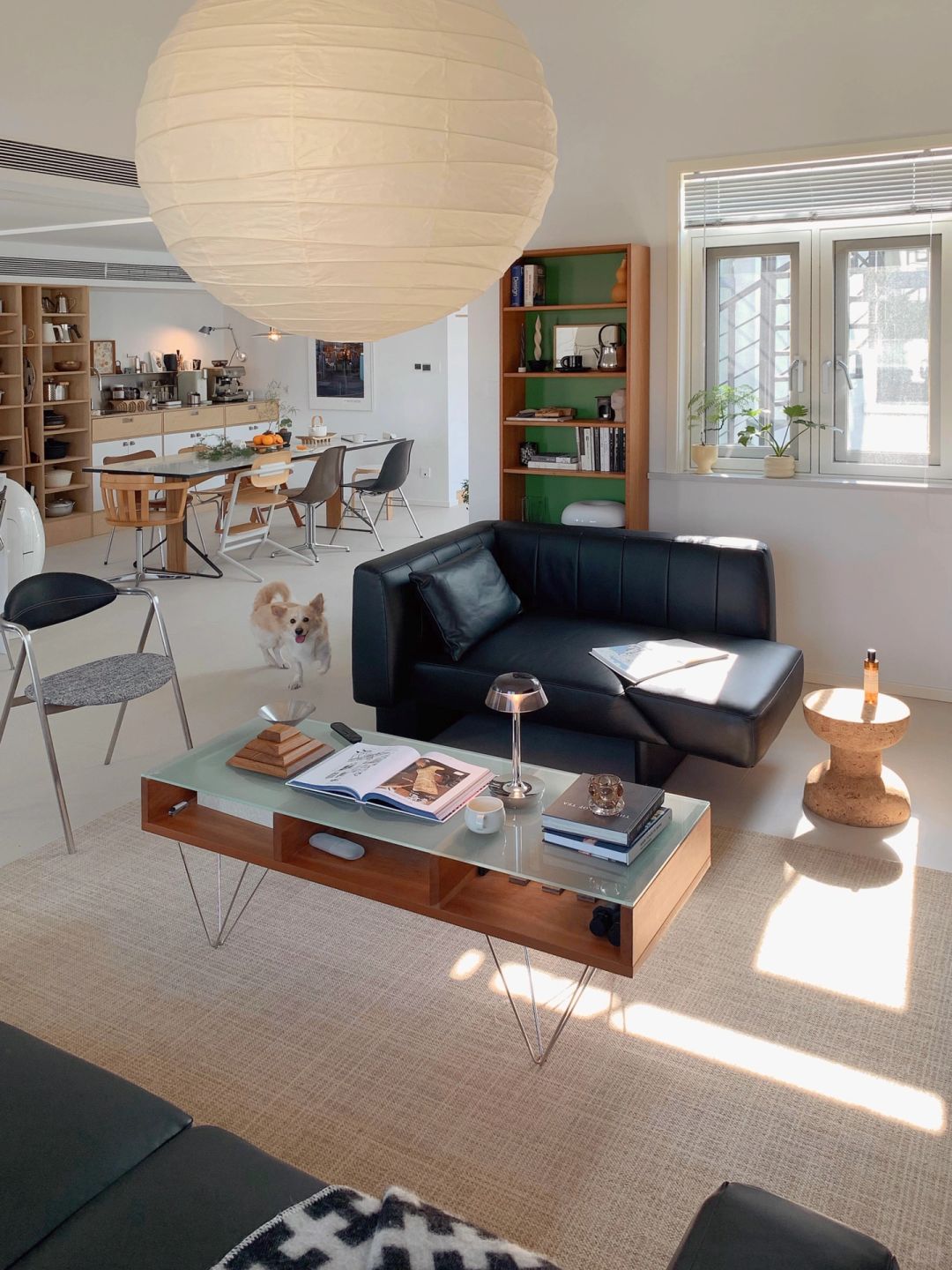 家的气味可以被带走吗？