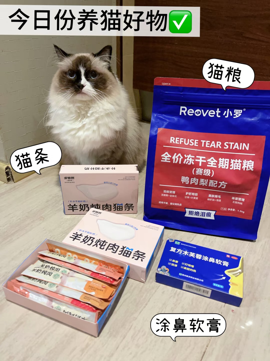 今日份养猫好物分享！