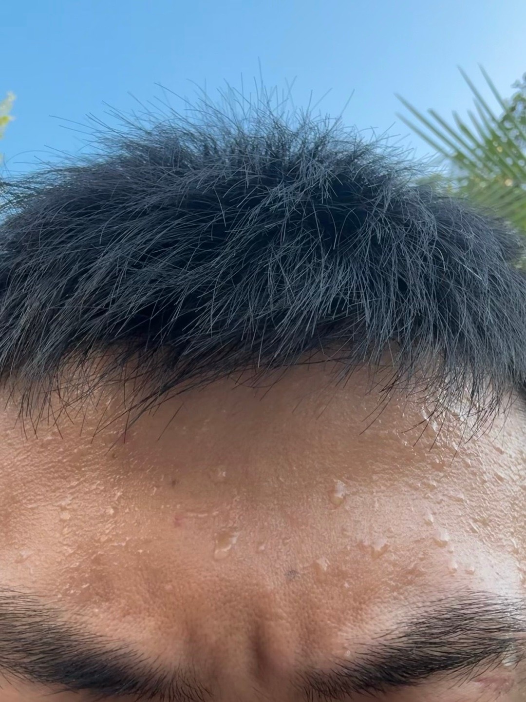 我真是在阴凉里一动没动，自动蒸桑拿… 