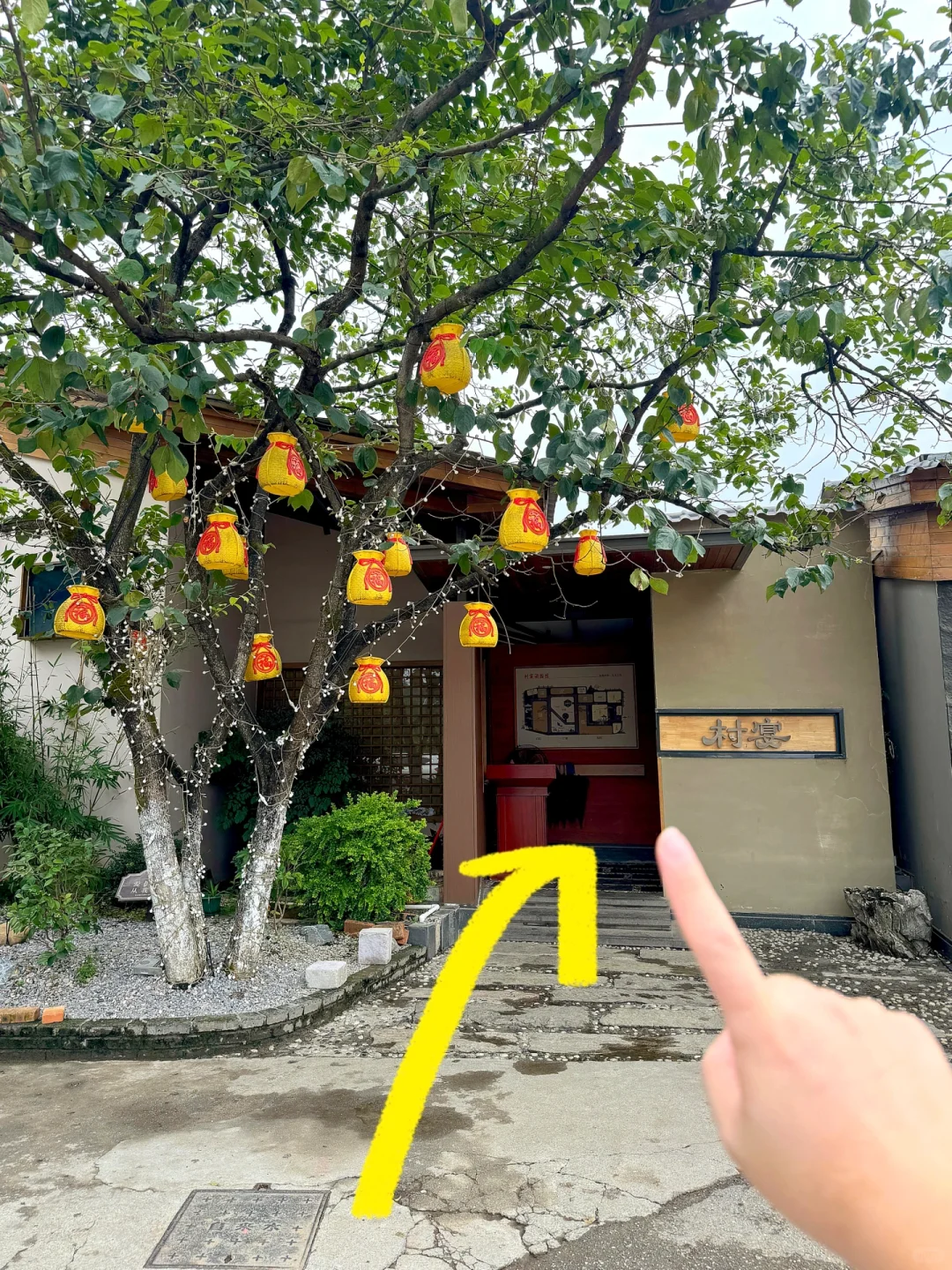 爬完岳麓山！！建议直奔这里！！！