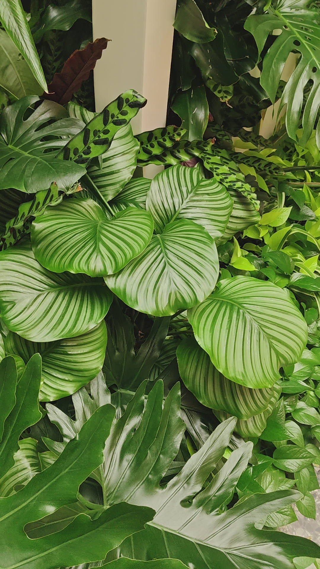 第一次早早的到酒店，然后吃了点东西就开始睡觉睡到现在[捂嘴哭]前几天睡觉太少，生