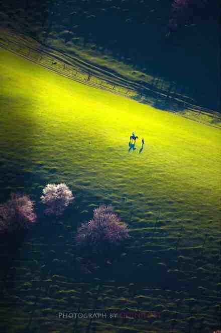 伊犁杏花沟，谁把春天打翻在这里。 