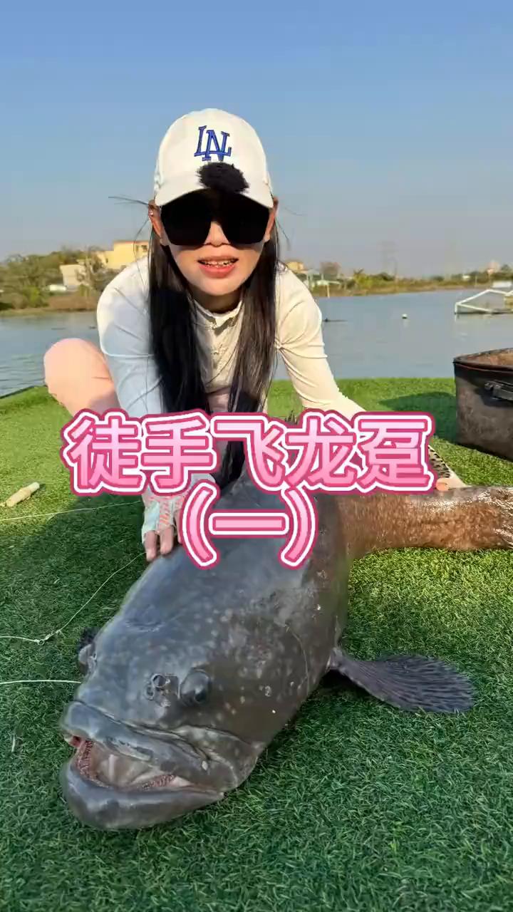 徒手飞龙趸(一)。
