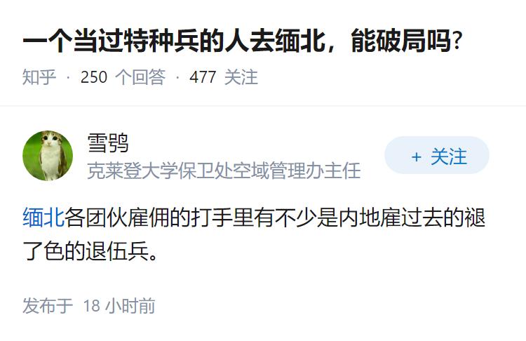 一个当过特种兵的人去缅北，能破局吗?