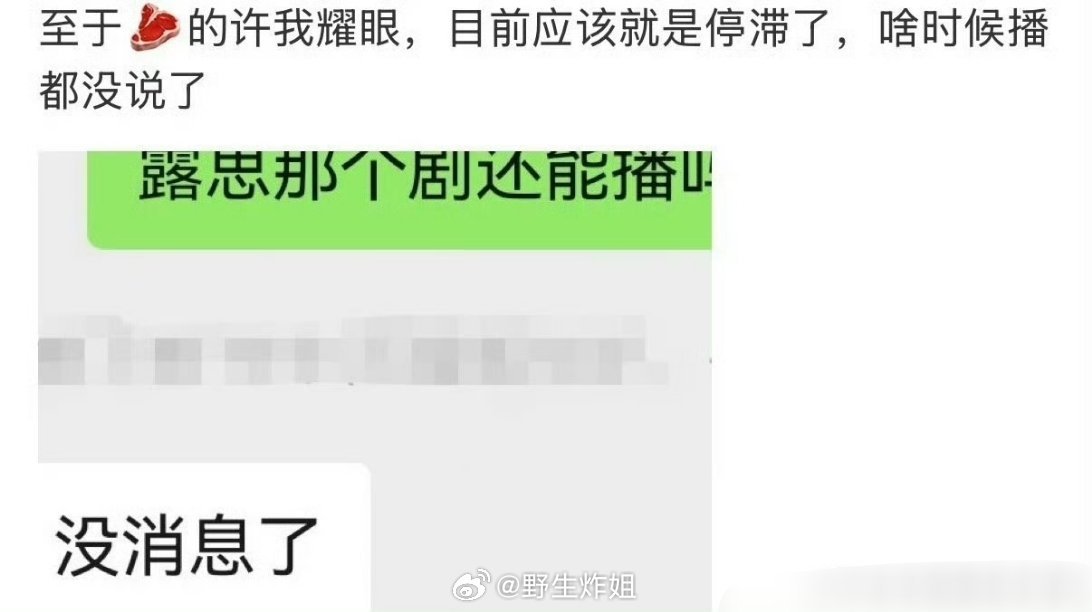 据此，赵露思跟陈伟霆主演的《许我耀眼》现在直接停滞不前了，不知道啥时候才能播出，
