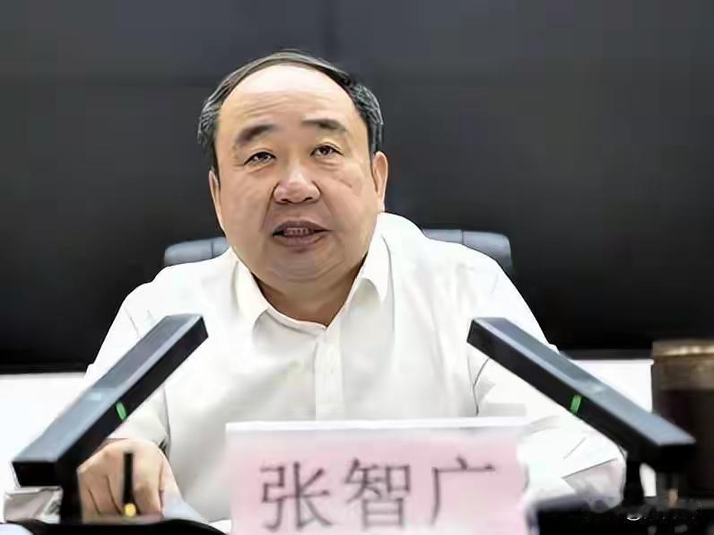 南阳市内乡县，之前不清不楚的张智广有了"下文"

张智广，1972年的人，仕途起