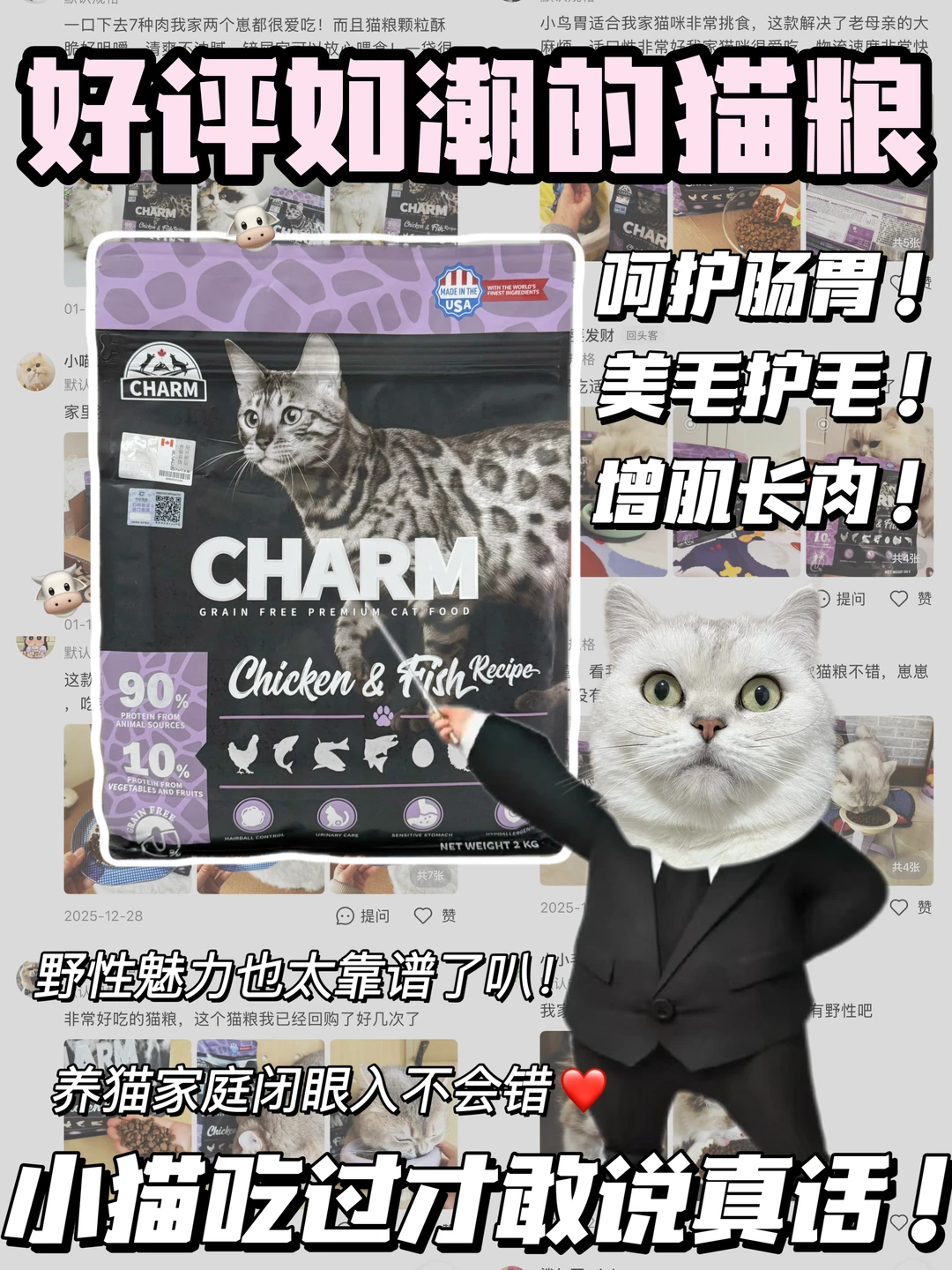 好评如潮的野性魅力猫粮！亮点在哪里🧐