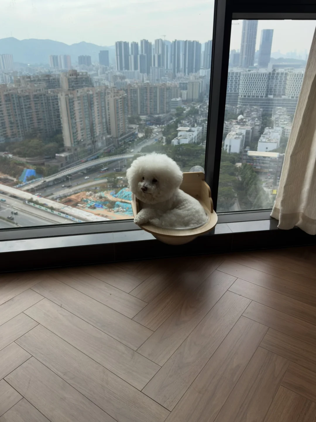 一碗大米饭🍚