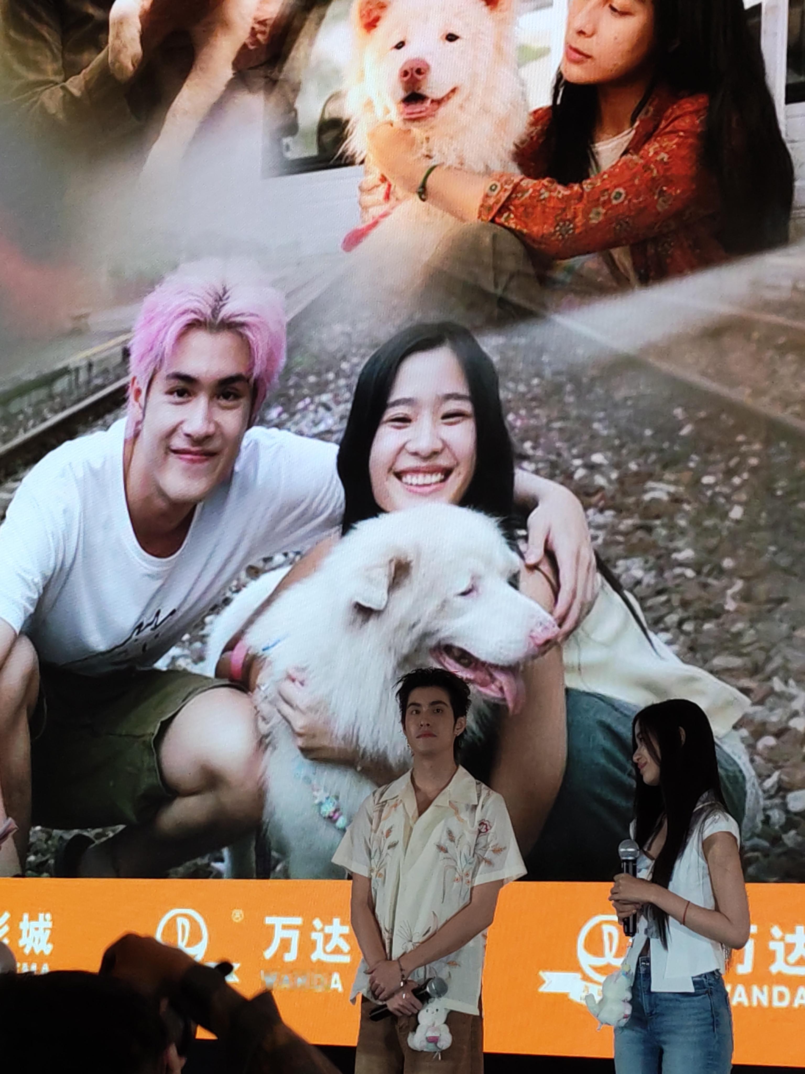 今天看了《心犬相随》，被可爱的狗狗治愈到了，好在后面肾衰竭的狗狗在爱下继续活了好