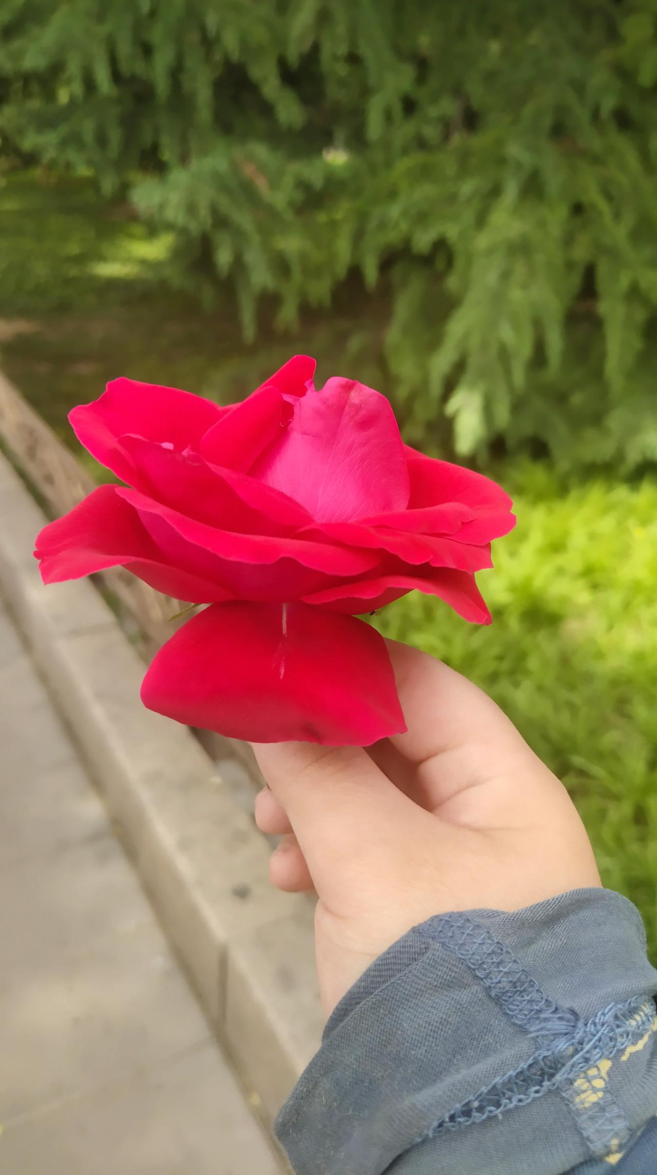 你支持许镜清对星火社追责吗支持追责，作品好不是理由，保护知识产权才是第一位的，你