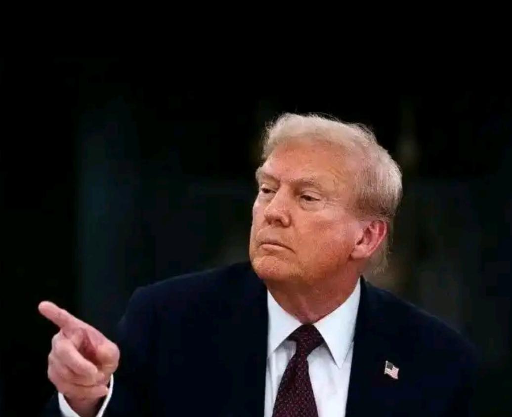 泽连斯基的棋盘：三分和平蓝图背后的战略变奏

乌克兰总统泽连斯基近日透露，其政府