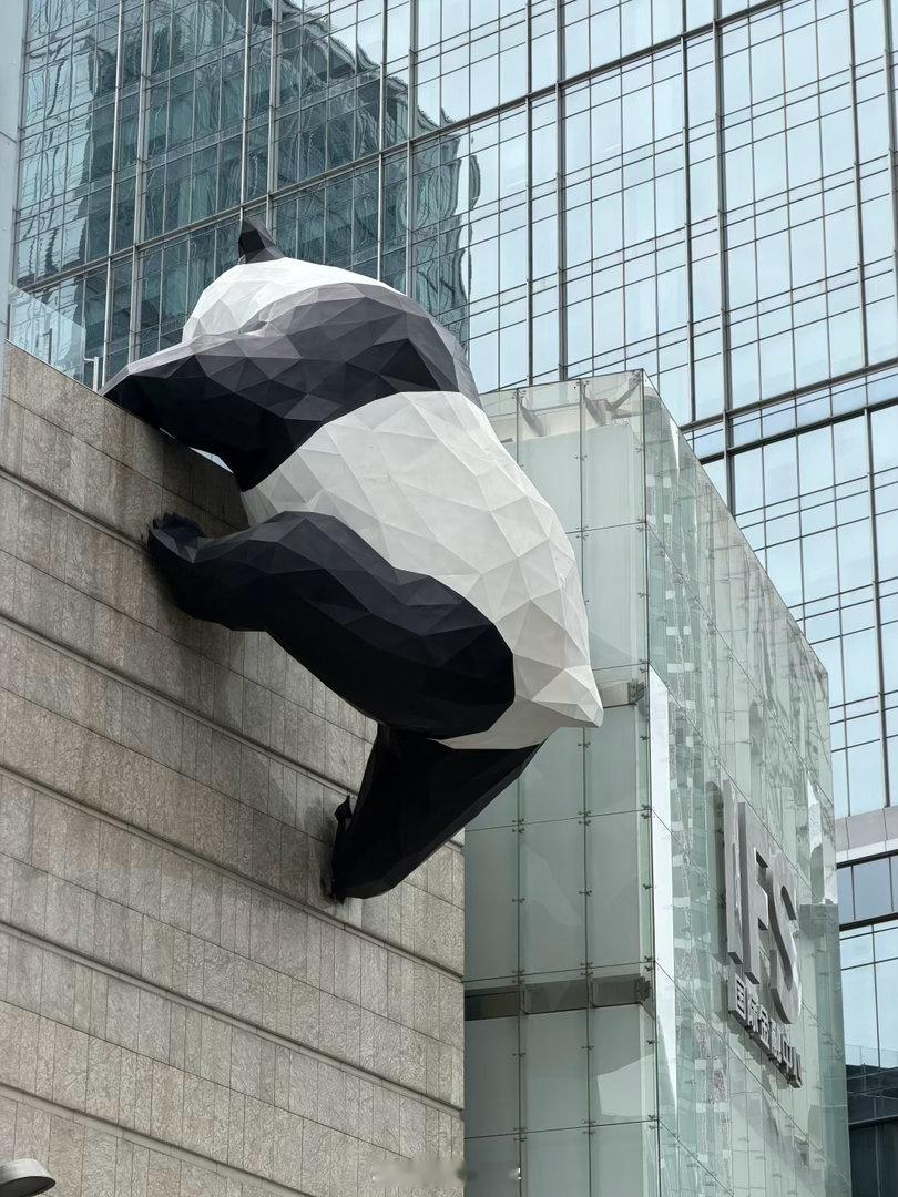 十一美美打卡十一接力打卡 来成都一定要和熊猫🐼打卡合照！-✅IFS双机位熊猫打