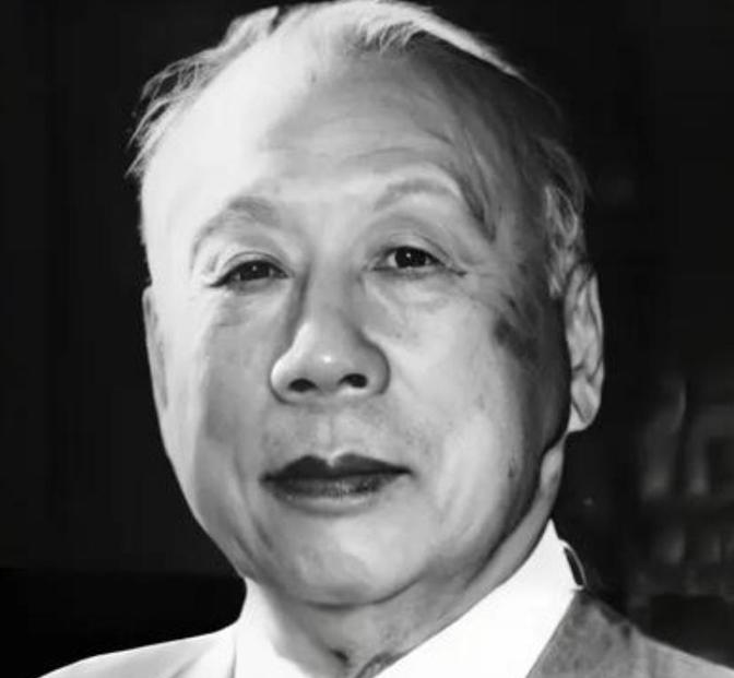 1945年9月底，已经向我军投降的日军航空队队长林弥一郎，在和伍修权交谈时，看到