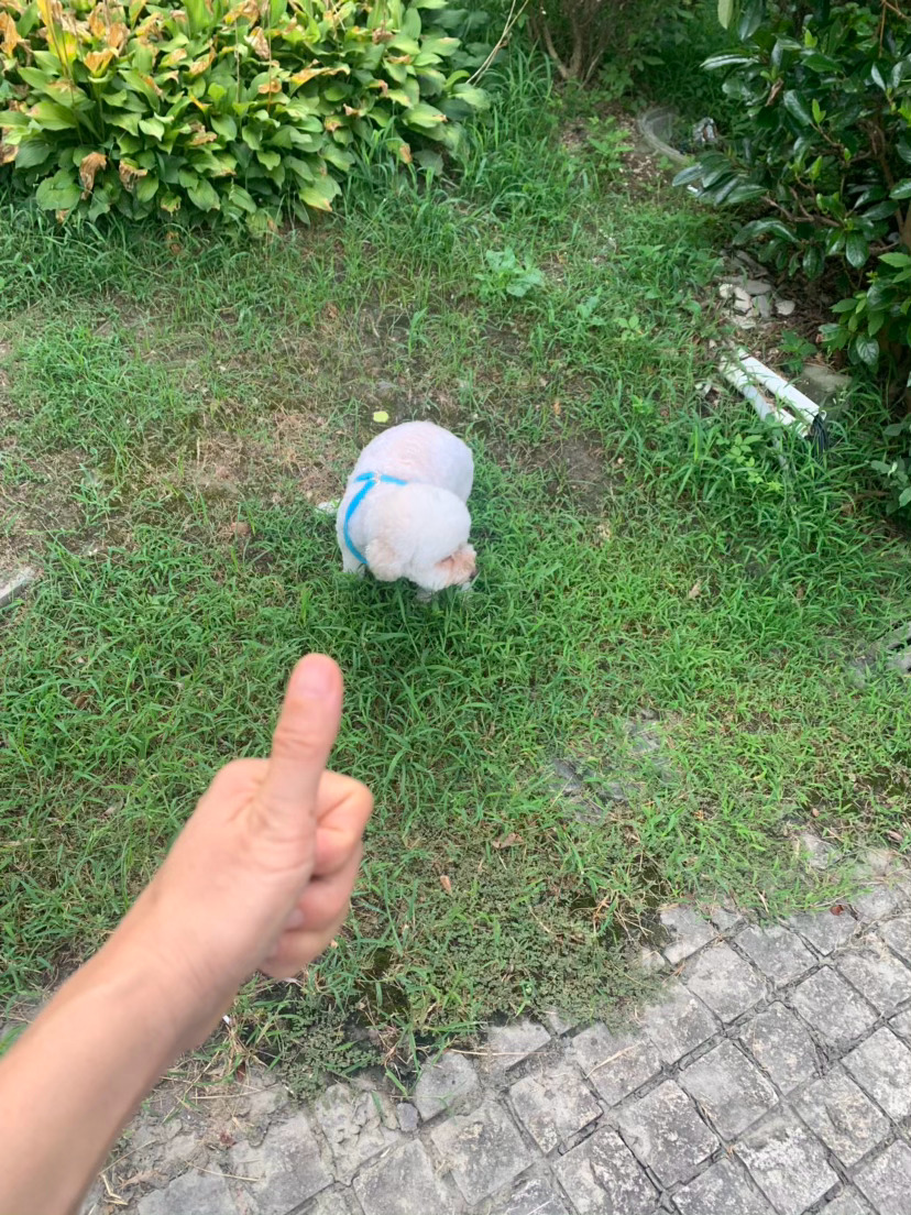 健康平安的每一天都值得点赞 