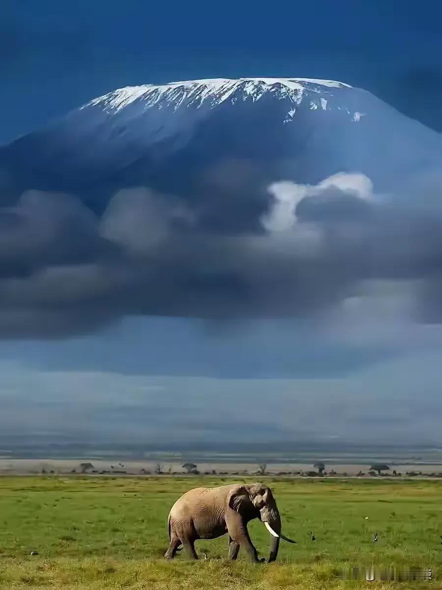 在全球没有任何山的地位可以和泰山相比，泰山是历代帝王封禅之山，泰山的人文历史没有
