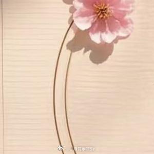 情感语录 人心各有所感，角度不同，又怎能相互理解格局是被委屈撑大的温柔也是懂事换