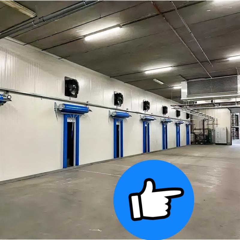 荷兰总部收款东莞赶产！
订单抢时间背后藏啥风险？

荷兰总公司已经收款，东莞工厂