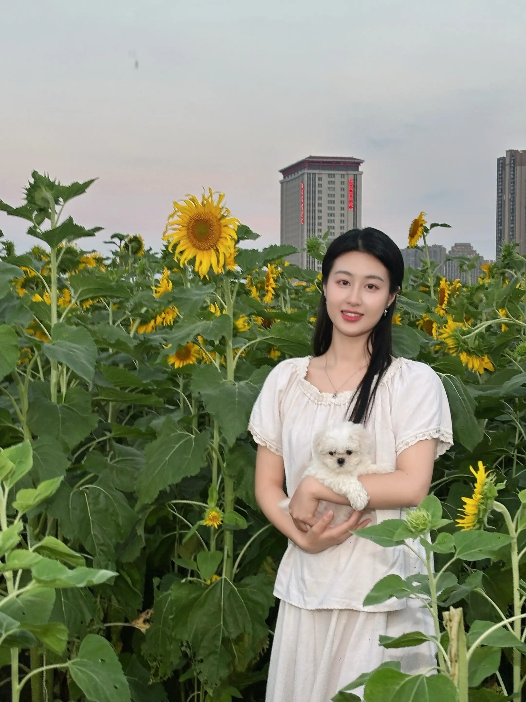 愿我们像向日葵🌻一般，向阳、美好😊 赶在日落之前和向日葵合影，第一...