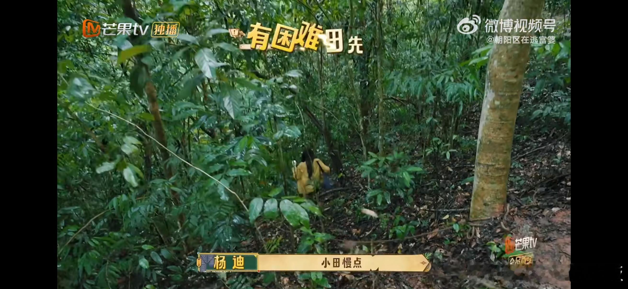 王安宇担心田曦薇 下坡冲刺拿箱子，王安宇跟在后面又急又操心，拦不住就喊小心，人上