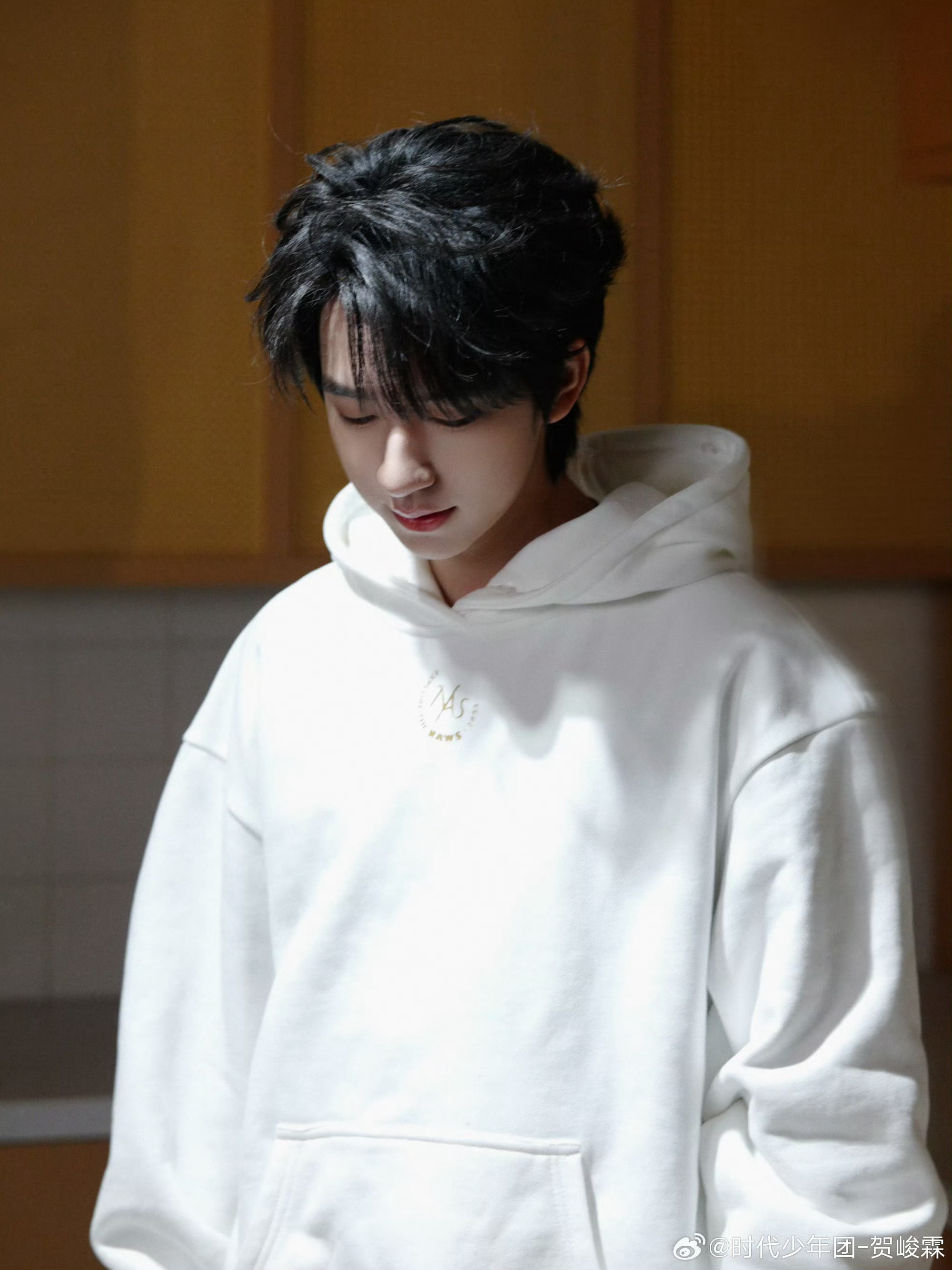 贺峻霖贺峻霖 二代唯一all绿୧⍤⃝🔋贺峻霖2026星光赴路皆坦途残影-时代少