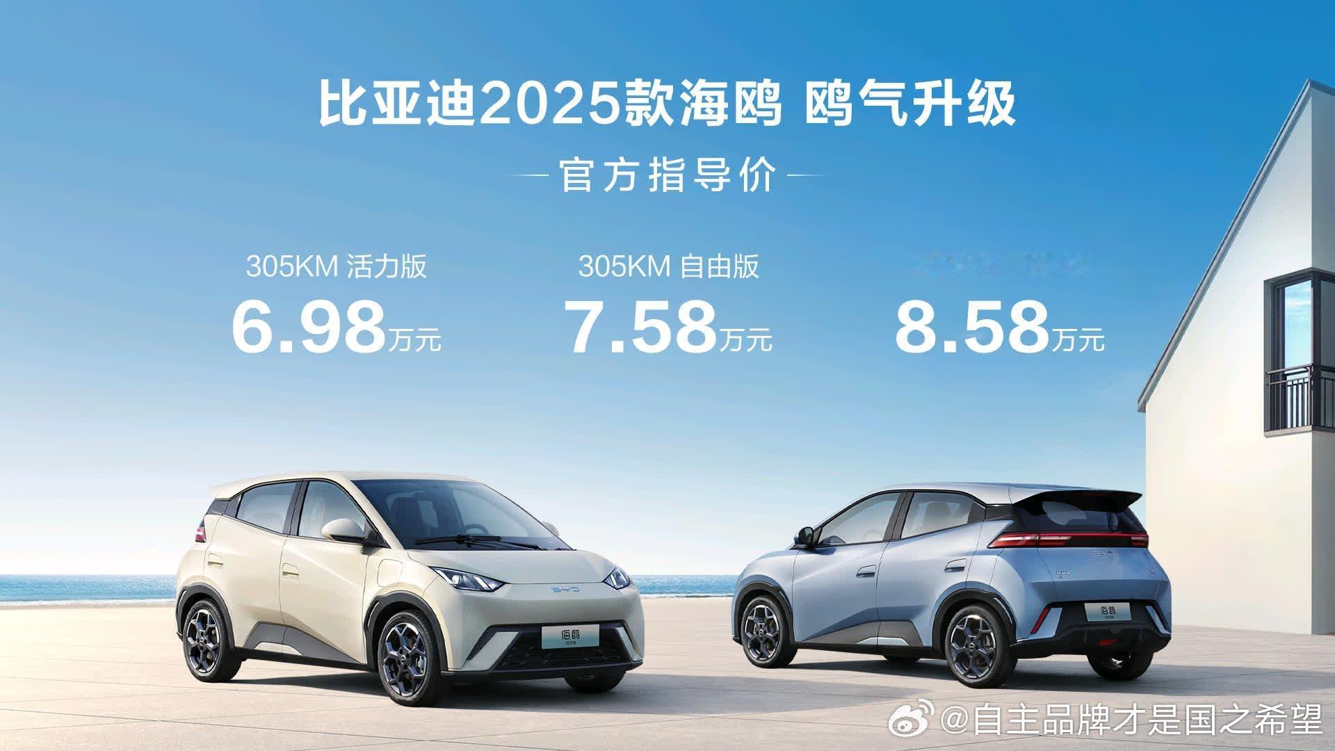 16个月累销超50万辆！2025款海鸥正式上市6.98万元起!         
