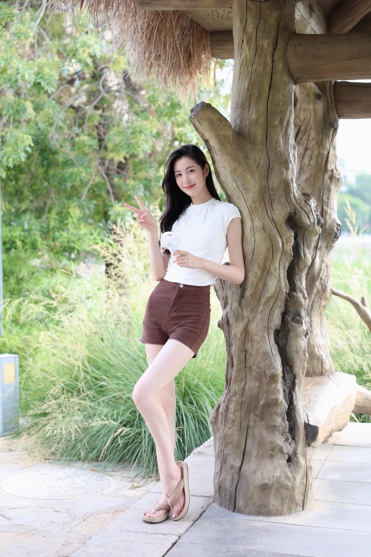 枯树吐新芽