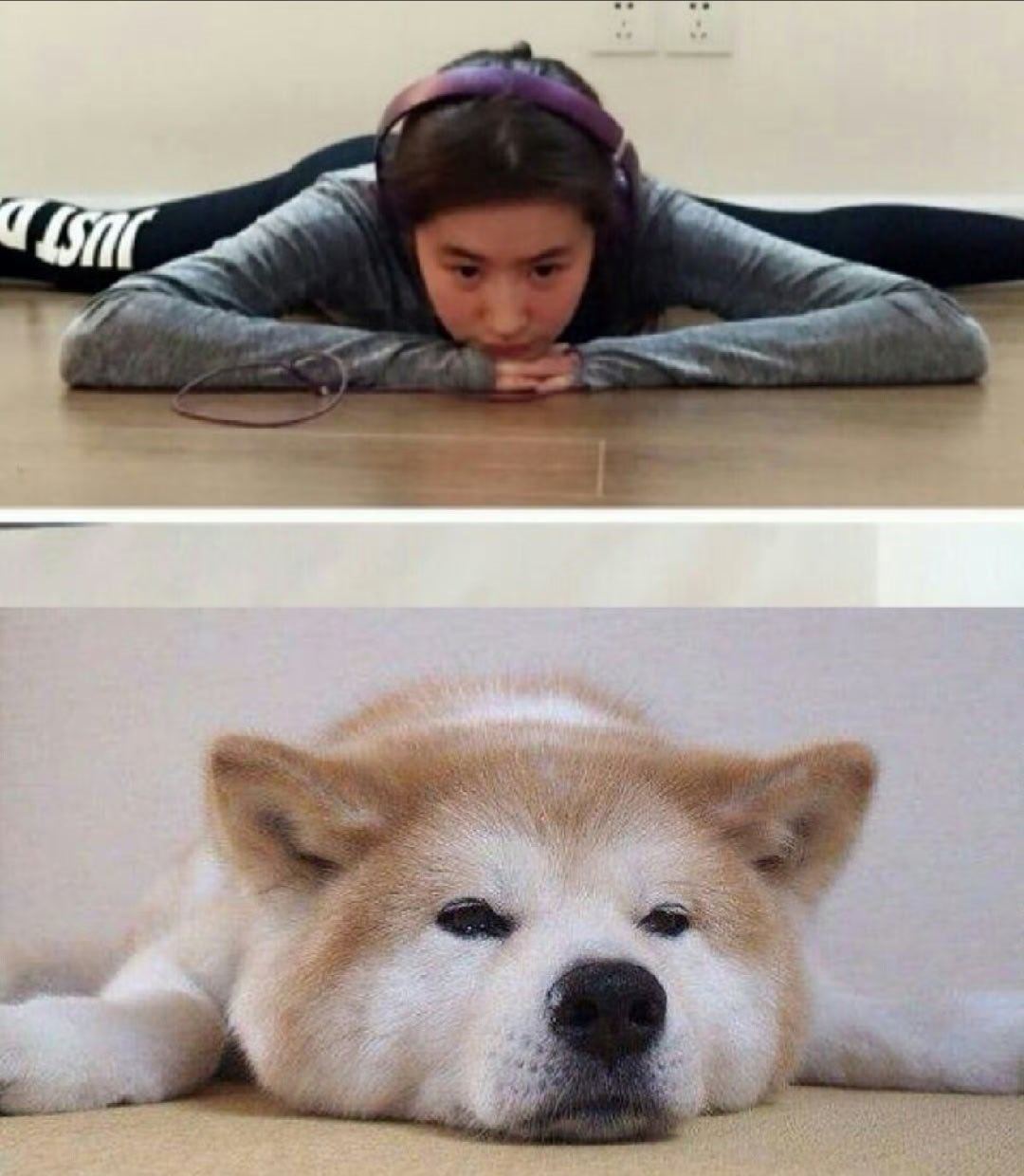 VC金九og已是令人遥不可及，这厢又登上了W中文版封面。刘亦菲，好难追一女的